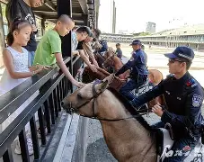 开云体育下载-雷霆vs步行者总决赛